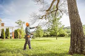 Best Lawn Irrigation Installation and Maintenance  in Juno Ridge, FL